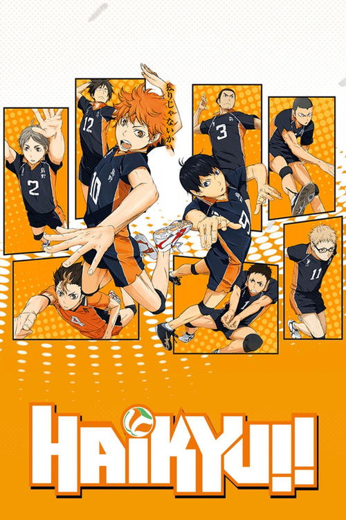 Haikyu!! (CR)