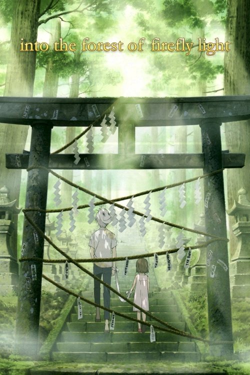 Into the Forest of Fireflies’ Light